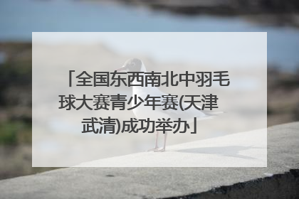 全国东西南北中羽毛球大赛青少年赛(天津武清)成功举办