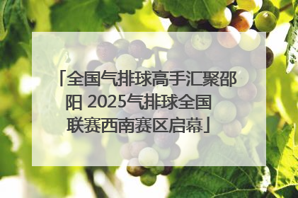 全国气排球高手汇聚邵阳 2025气排球全国联赛西南赛区启幕