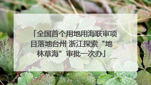 全国首个用地用海联审项目落地台州 浙江探索“地林草海”审批一次办