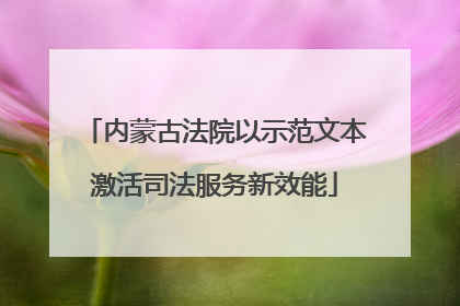 内蒙古法院以示范文本激活司法服务新效能