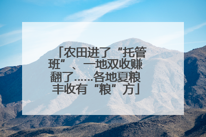 农田进了“托管班”、一地双收赚翻了……各地夏粮丰收有“粮”方