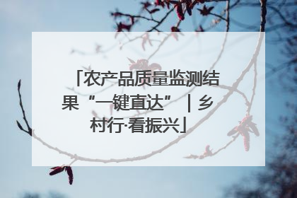 农产品质量监测结果“一键直达”｜乡村行·看振兴