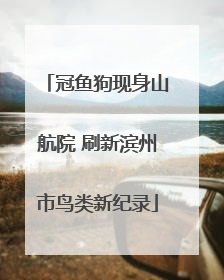 冠鱼狗现身山航院 刷新滨州市鸟类新纪录