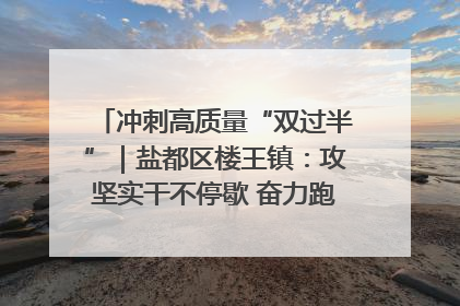 冲刺高质量“双过半”｜盐都区楼王镇：攻坚实干不停歇 奋力跑赢“上半场”