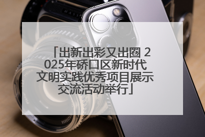 出新出彩又出圈 2025年硚口区新时代文明实践优秀项目展示交流活动举行