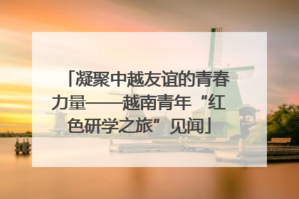 凝聚中越友谊的青春力量——越南青年“红色研学之旅”见闻