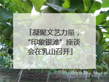 凝聚文艺力量，“印象银滩”座谈会在乳山召开