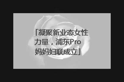 凝聚新业态女性力量，浦东Pro妈妈妇联成立