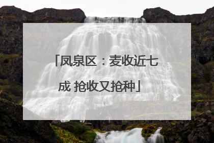 凤泉区：麦收近七成 抢收又抢种
