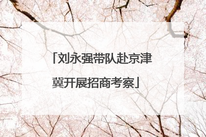 刘永强带队赴京津冀开展招商考察