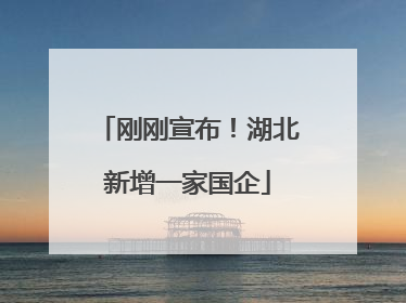 刚刚宣布！湖北新增一家国企