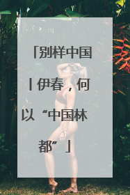 别样中国丨伊春，何以“中国林都”