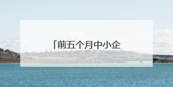 前五个月中小企业产业园入驻企业增长超三成