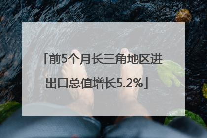 前5个月长三角地区进出口总值增长5.2%