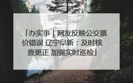 办实事｜网友反映公交票价错误 辽宁阜新：及时核查更正 加强实时巡检
