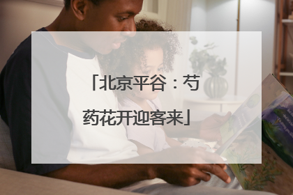 北京平谷：芍药花开迎客来