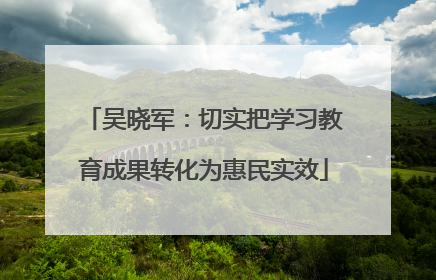 吴晓军：切实把学习教育成果转化为惠民实效