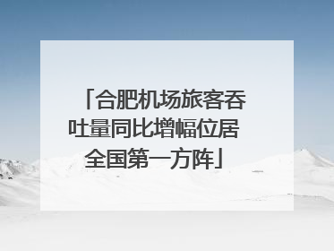 合肥机场旅客吞吐量同比增幅位居全国第一方阵