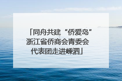 同舟共建“侨爱岛” 浙江省侨商会青委会代表团走进嵊泗