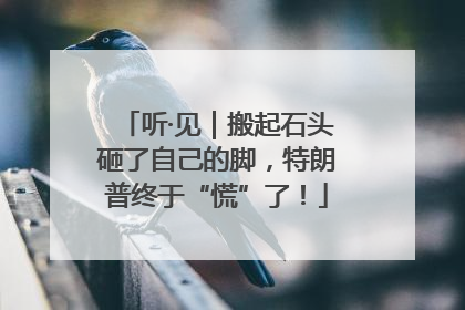 听·见｜搬起石头砸了自己的脚，特朗普终于“慌”了！