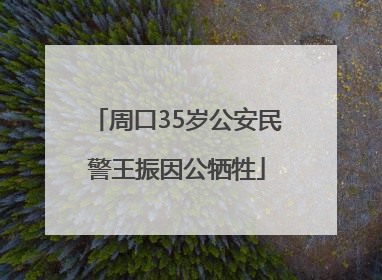 周口35岁公安民警王振因公牺牲