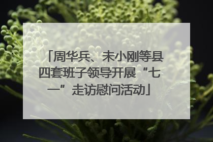 周华兵、未小刚等县四套班子领导开展“七一”走访慰问活动