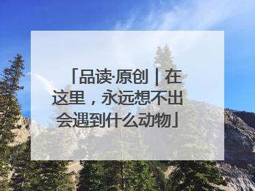 品读·原创｜在这里，永远想不出会遇到什么动物
