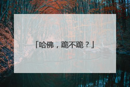 哈佛，跪不跪？
