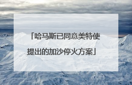哈马斯已同意美特使提出的加沙停火方案