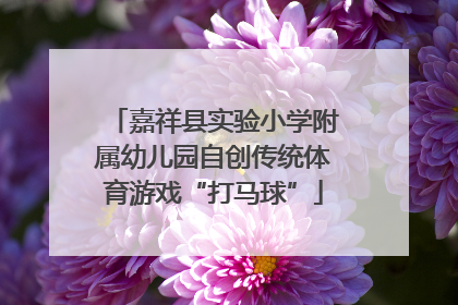 嘉祥县实验小学附属幼儿园自创传统体育游戏“打马球”