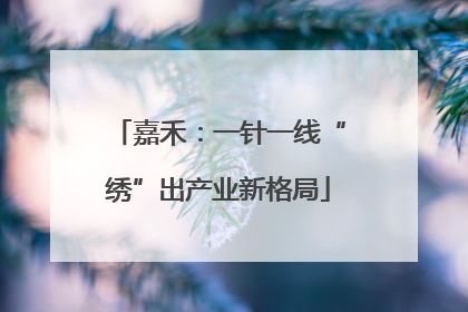 嘉禾：一针一线“绣”出产业新格局