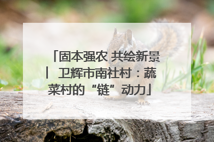固本强农 共绘新景 ︳卫辉市南社村：蔬菜村的“链”动力