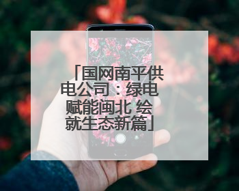 国网南平供电公司：绿电赋能闽北 绘就生态新篇