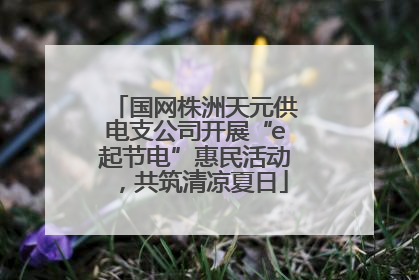 国网株洲天元供电支公司开展“e起节电”惠民活动，共筑清凉夏日