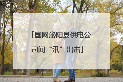 国网泌阳县供电公司闻“汛”出击