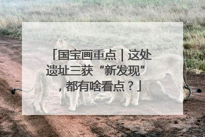国宝画重点｜这处遗址三获“新发现”，都有啥看点？
