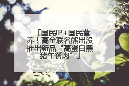 国民IP+国民营养！高金联名熊出没推出新品“高蛋白黑猪午餐肉”