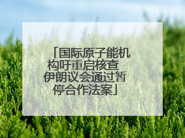 国际原子能机构吁重启核查 伊朗议会通过暂停合作法案