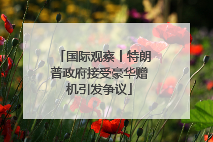 国际观察丨特朗普政府接受豪华赠机引发争议