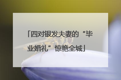 四对银发夫妻的“毕业婚礼”惊艳全城