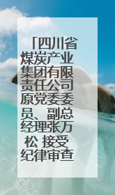四川省煤炭产业集团有限责任公司原党委委员、副总经理张万松 接受纪律审查和监察调查