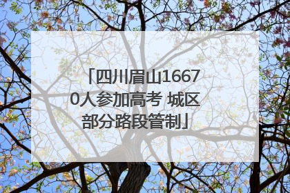 四川眉山16670人参加高考 城区部分路段管制