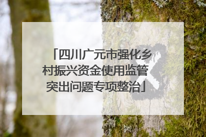 四川广元市强化乡村振兴资金使用监管突出问题专项整治