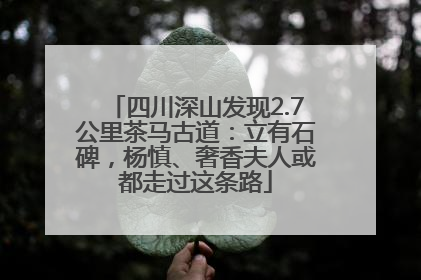 四川深山发现2.7公里茶马古道：立有石碑，杨慎、奢香夫人或都走过这条路