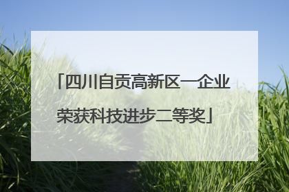四川自贡高新区一企业荣获科技进步二等奖