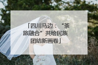 四川马边：“茶旅融合”共绘民族团结新画卷