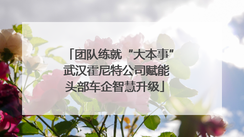 团队练就“大本事” 武汉霍尼特公司赋能头部车企智慧升级