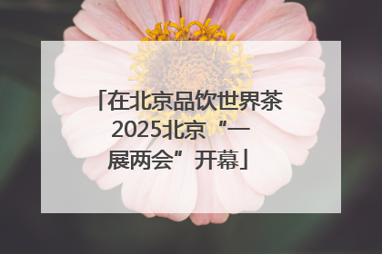 在北京品饮世界茶 2025北京“一展两会”开幕