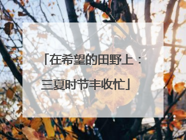 在希望的田野上：三夏时节丰收忙