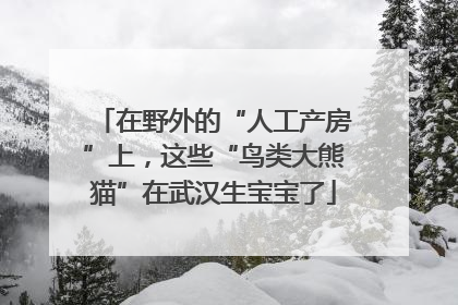 在野外的“人工产房”上，这些“鸟类大熊猫”在武汉生宝宝了